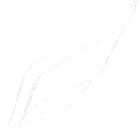 Caerus Legacy LLC